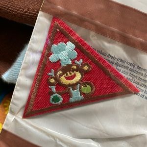 $1 Brownie Home Scientist Badge
